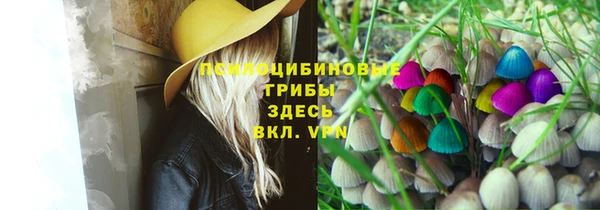 винт Бородино