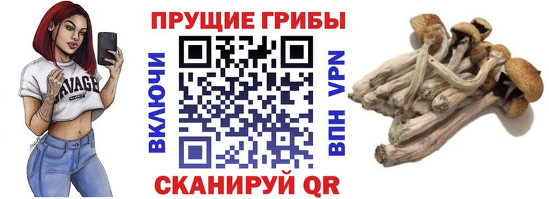 Псилоцибиновые грибы мицелий  hydra ONION  Высоковск 